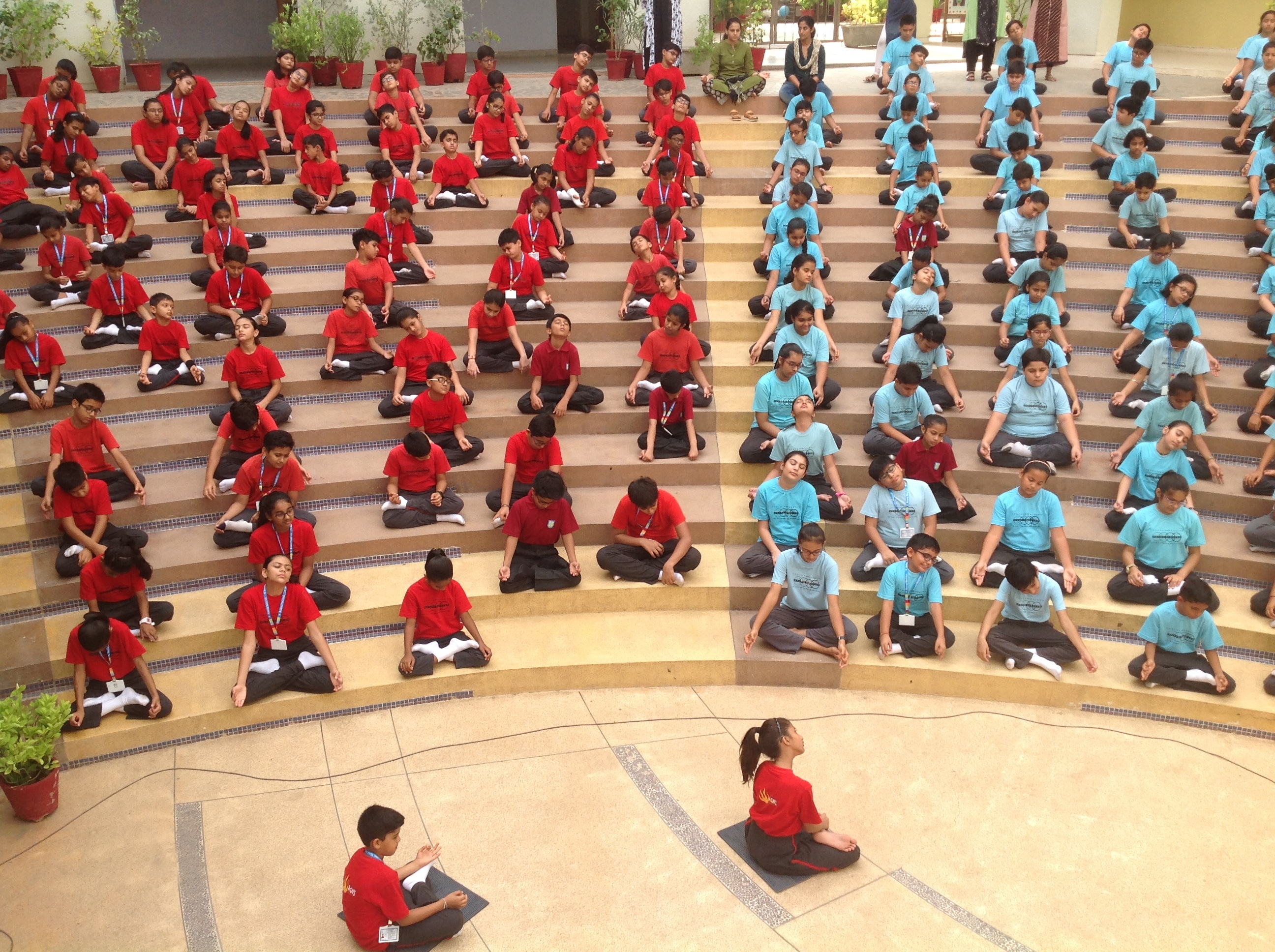 Yoga Day 2019