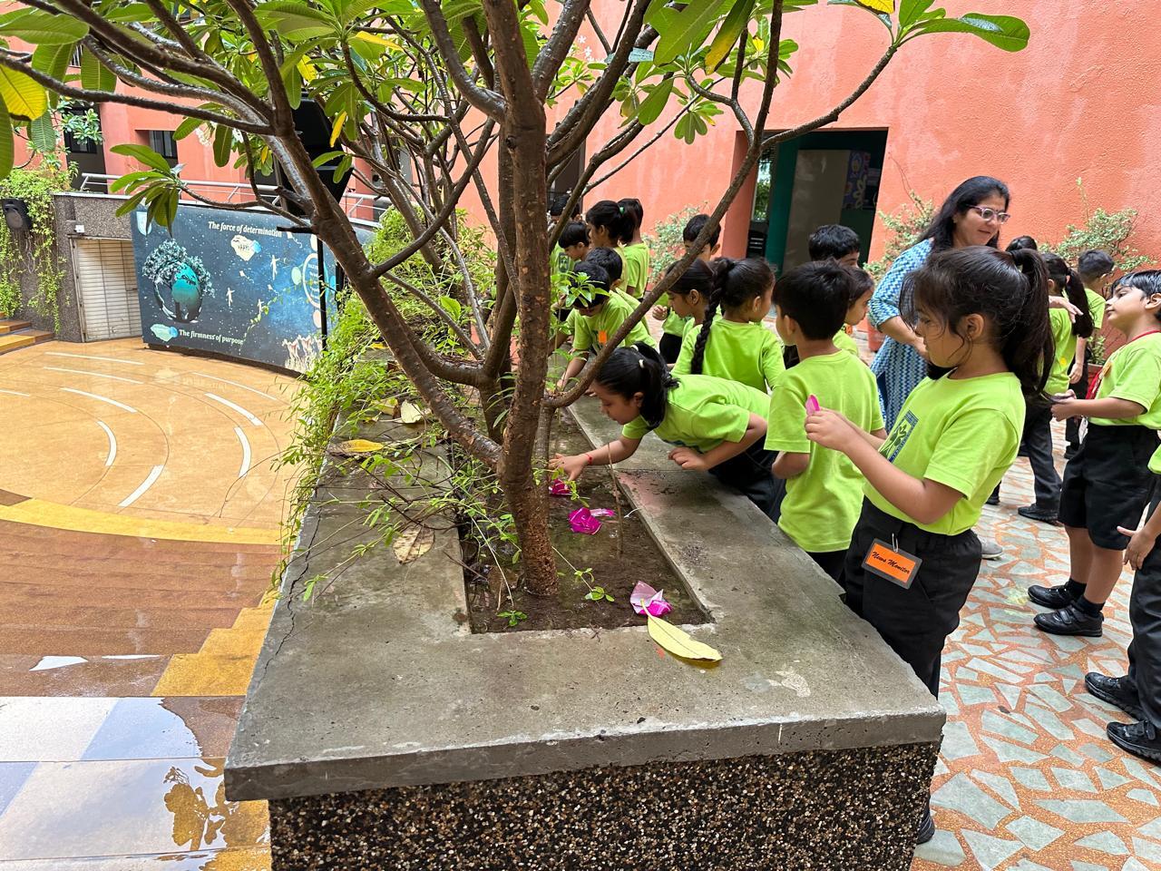 Grade 1 ICSE  Make a Splash with Paper Boats