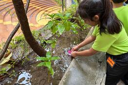 Grade 1 ICSE  Make a Splash with Paper Boats